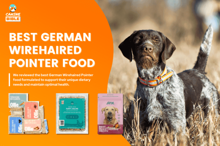 Best Dog Food For German Wirehaired Pointers