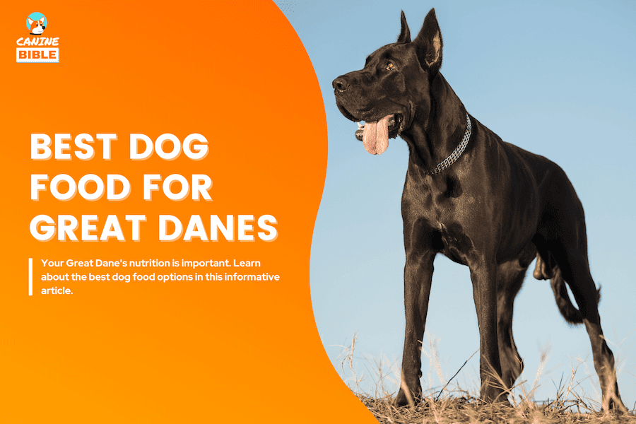 best dog food for Great Danes