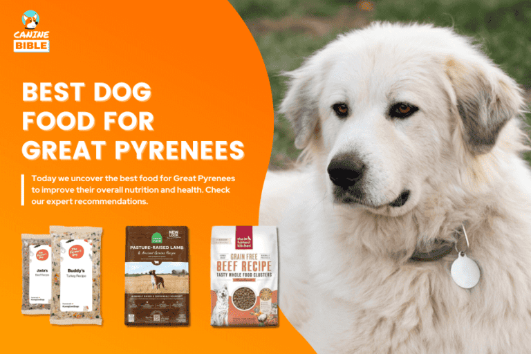 Best Dog Food For Great Pyrenees