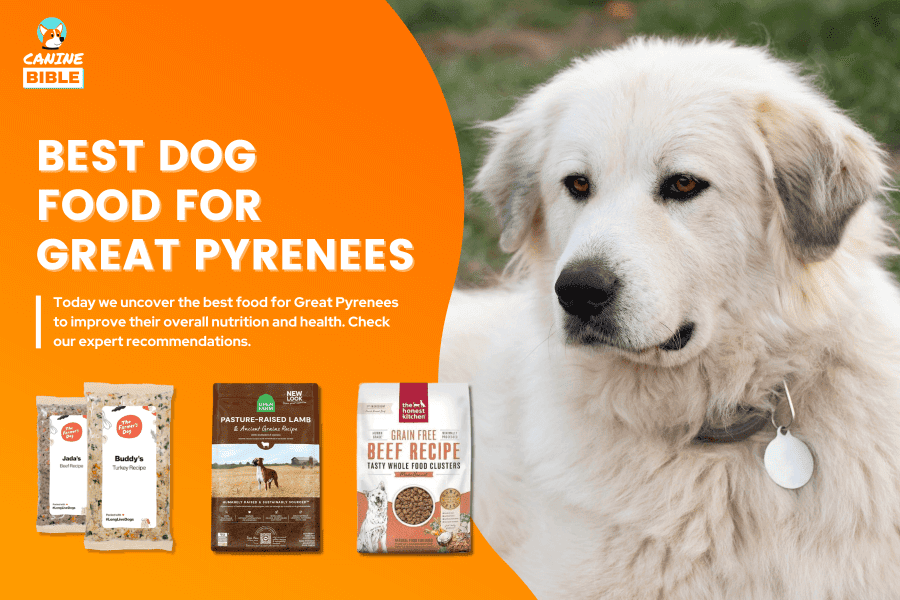 Best Dog Food For Great Pyrenees