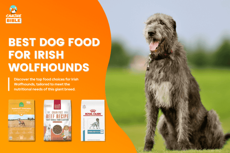 Best Dog Food For Irish Wolfhounds