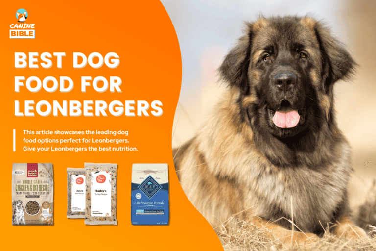 Best Dog Food For Leonbergers