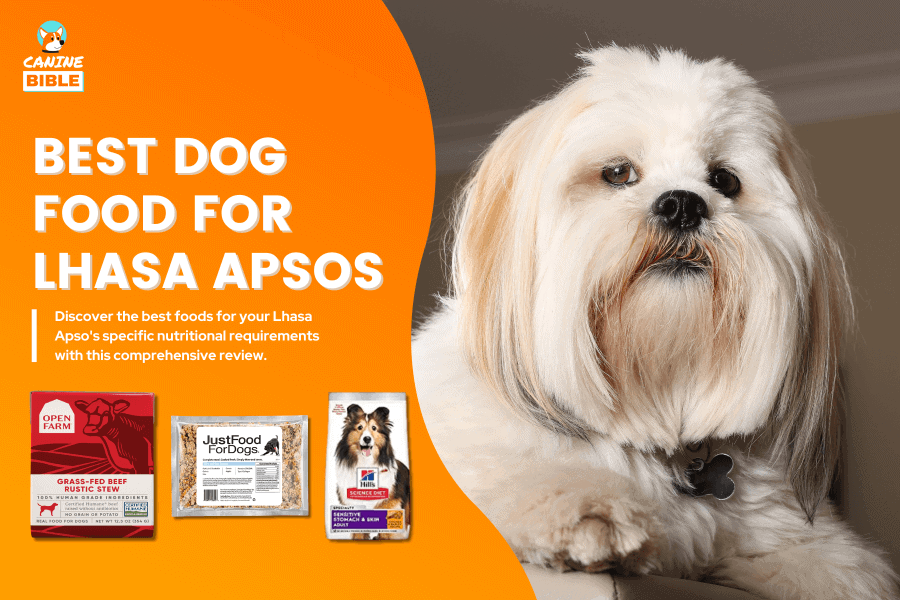 Best Dog Food For Lhasa Apsos