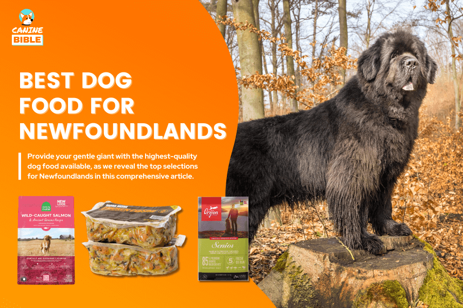 Best Dog Food For Newfoundlands