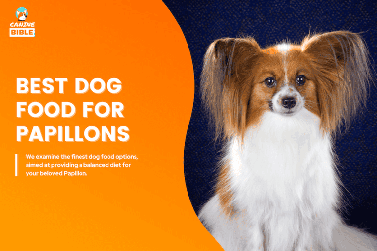 Best Dog Food For Papillons