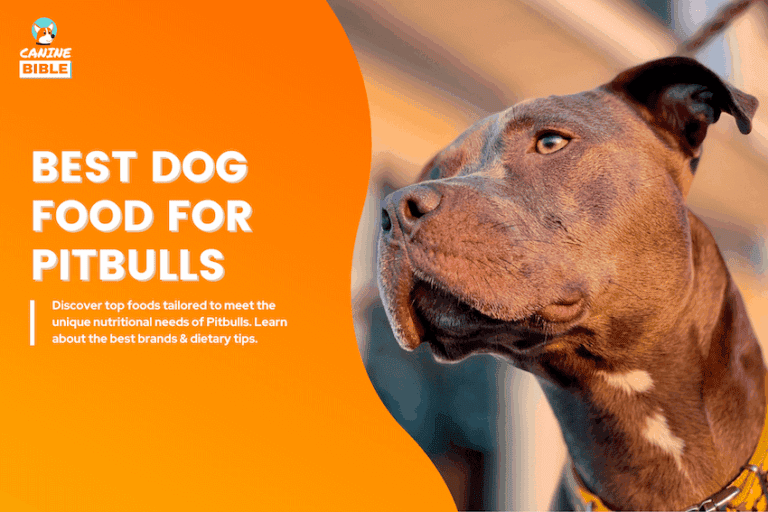 best dog food for pitbulls