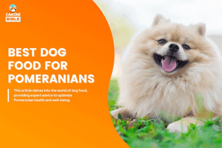 Best Dog Food For Pomeranians