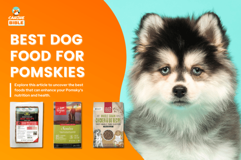 Best Dog Food For Pomskies