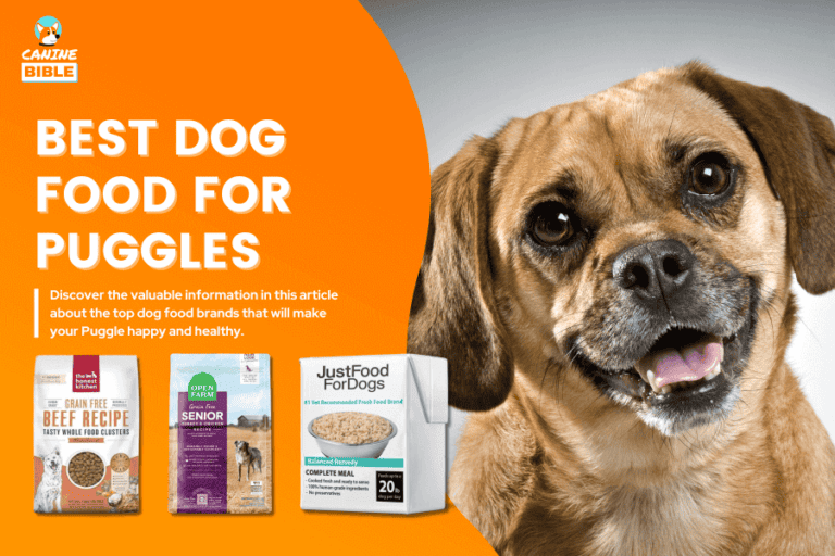 Best Dog Food For Puggles