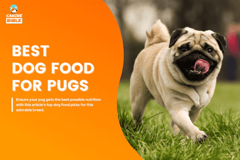 Best Dog Food For Pugs