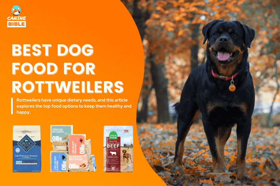 best dog food for rottweilers