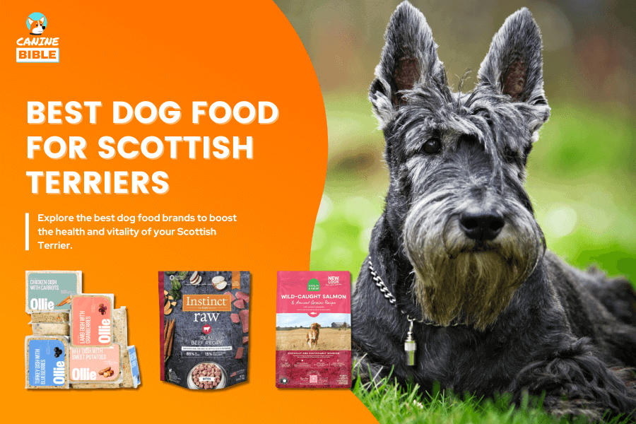 Best Dog Food For Scottish Terriers