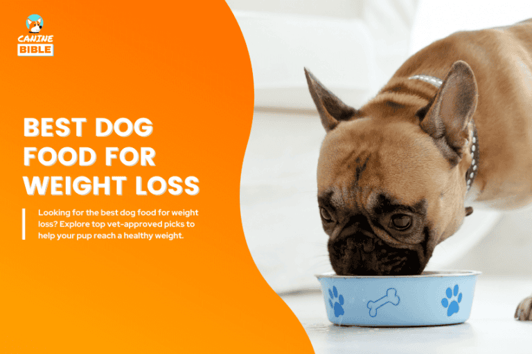 best dog food for weight loss