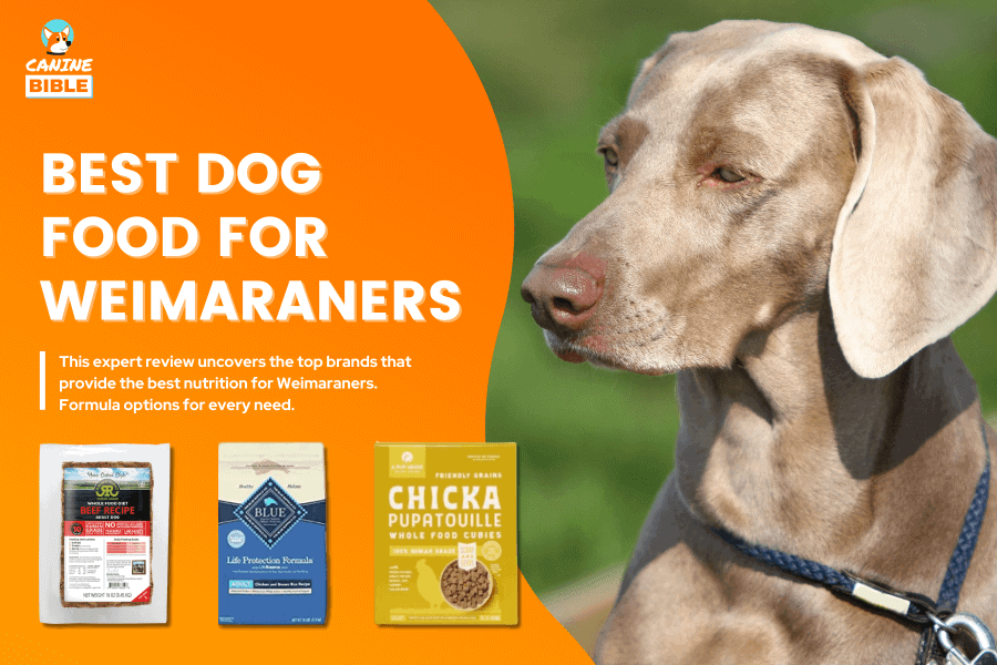 Best Dog Food For Weimaraners