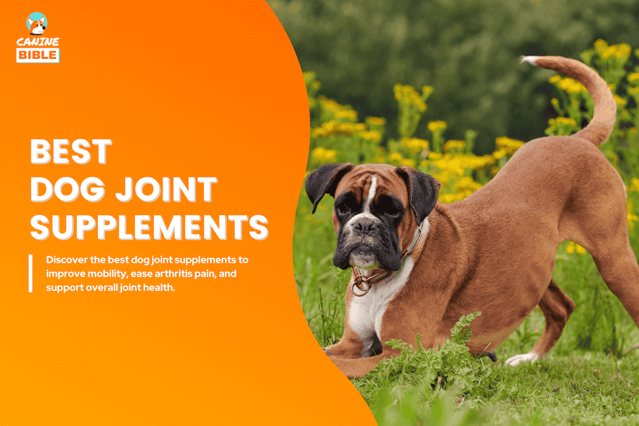 best dog joint supplements