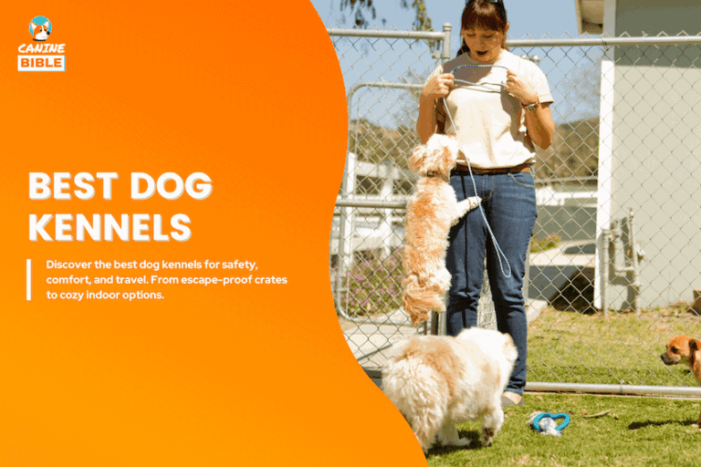 best dog kennels