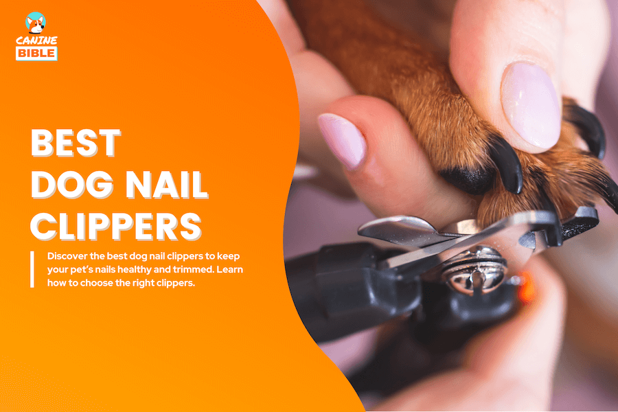 best dog nail clippers