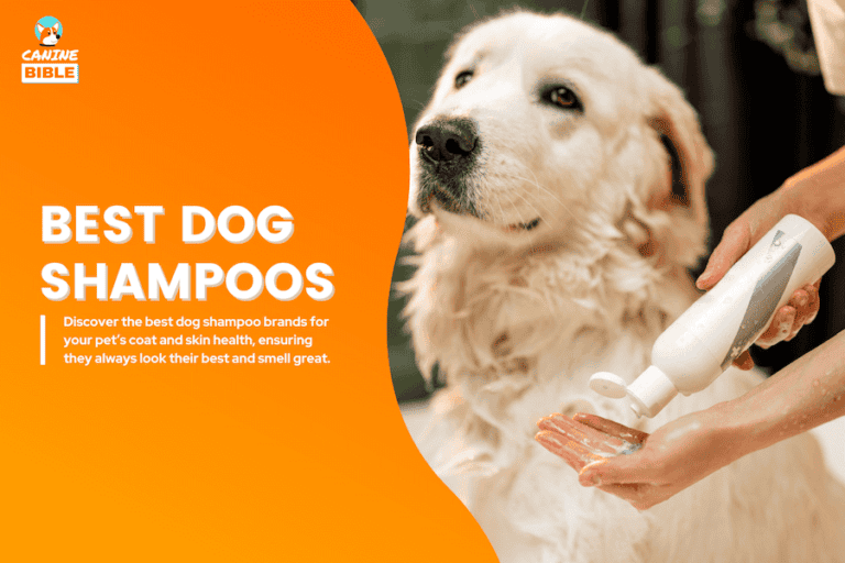 The 20 Best Dog Shampoos of 2025: Vet-Approved