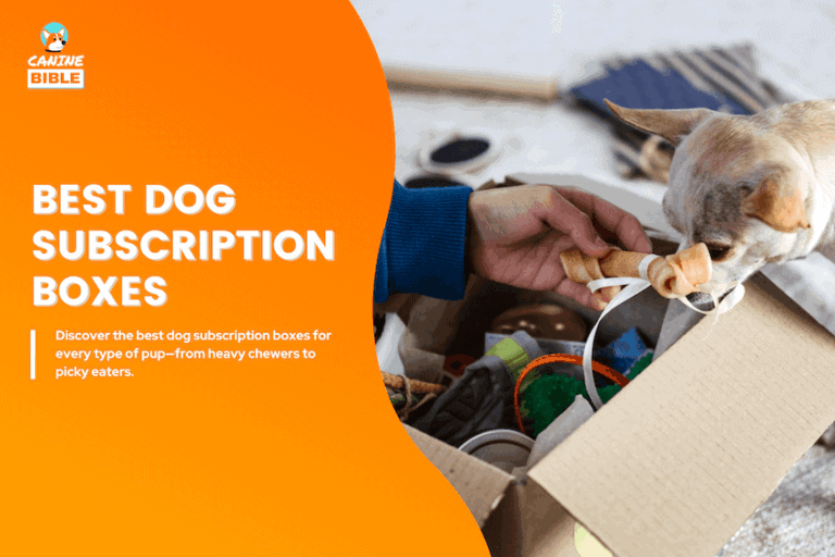best dog subscription box