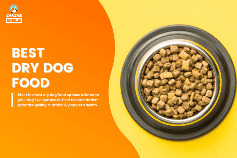 The 16 Best Dry Dog Foods in 2025: Vet-Approved Brands