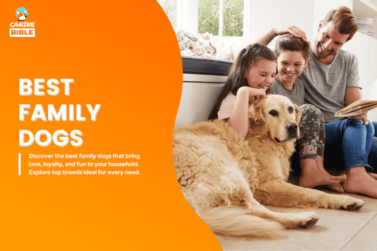 50 Best Dog Breeds for Families: A Guide to Family Canines