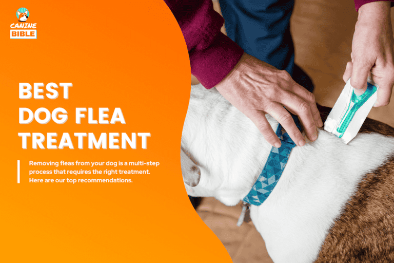 10 Best Dog Flea Treatment & Medications: Effective, Long-Lasting