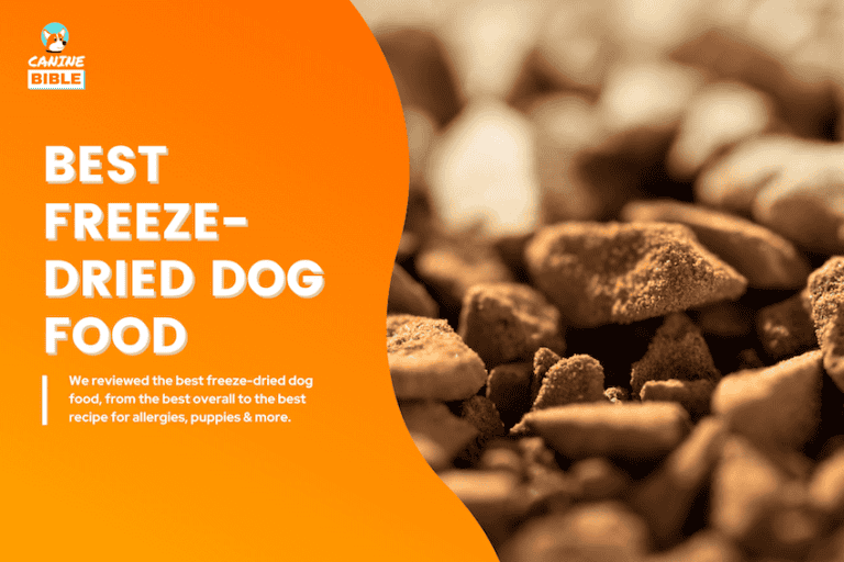 The 15 Best Freeze-Dried Dog Foods 2025: According to Vets