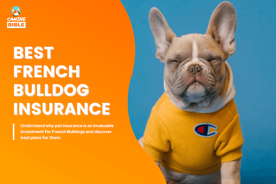 best pet insurance for french bulldogs