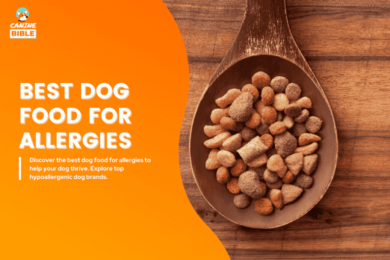 best dog food for allergies