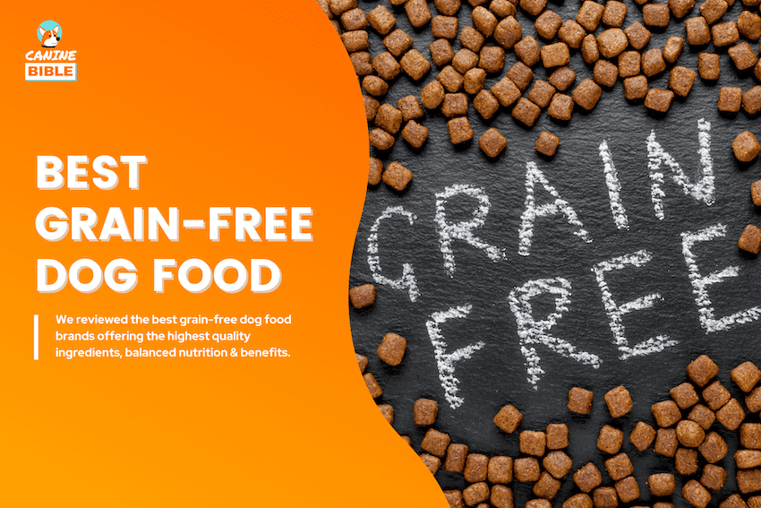 best grain free dog food