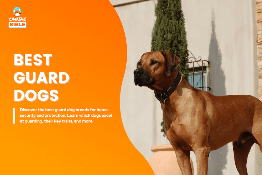 best guard dogs