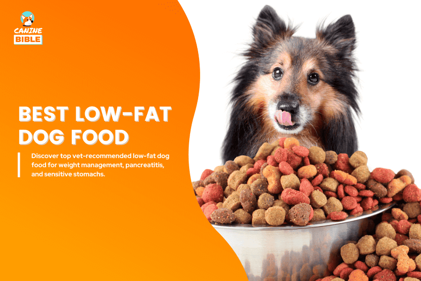 best low-fat dog food