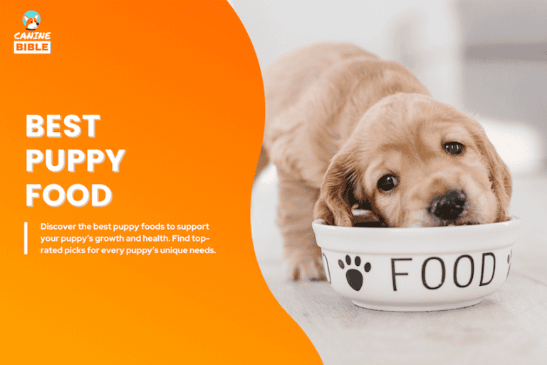 12 Best Dog Food For Puppies 2025: Vet-Approved Brands