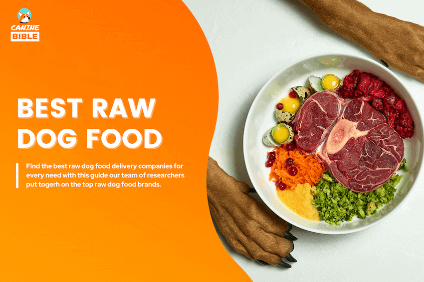 Best Raw Dog Food