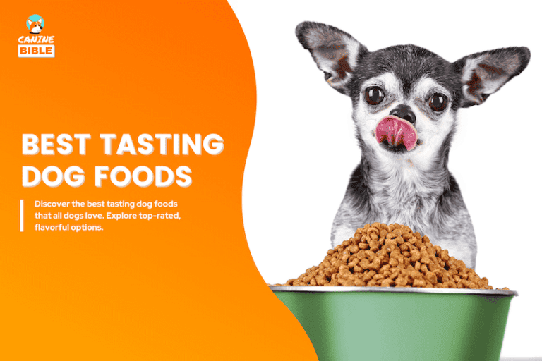 best tasting dog food