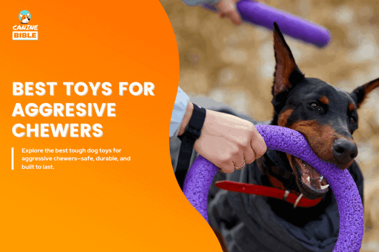 Best toys for aggressive chewers