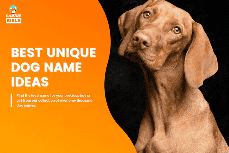 unique dog names