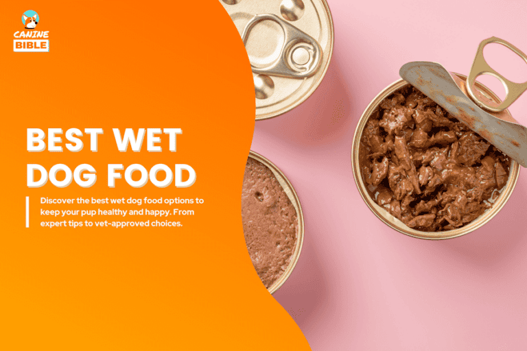 The 14 Best Wet Dog Foods in 2025: Vet-Recommended