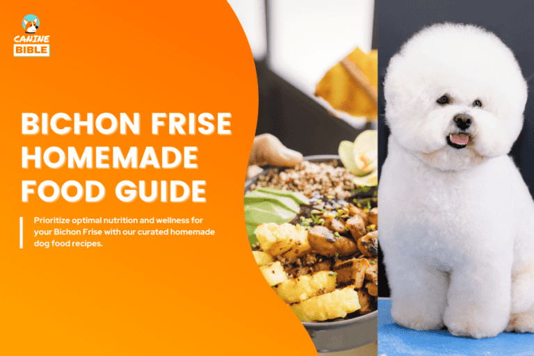 bichon frise homemade dog food