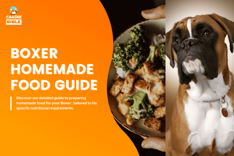 homemade food for boxer dogs