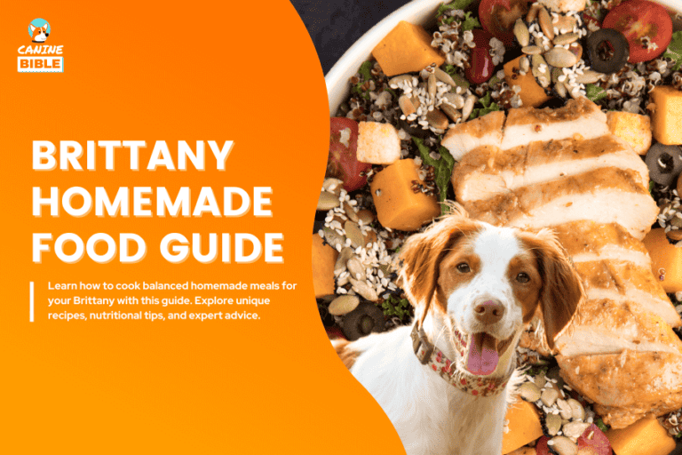 Brittany homemade dog food