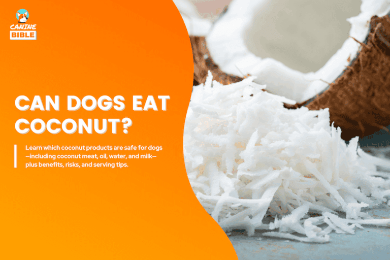 can dogs eat coconut