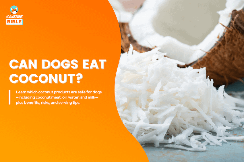 can dogs eat coconut