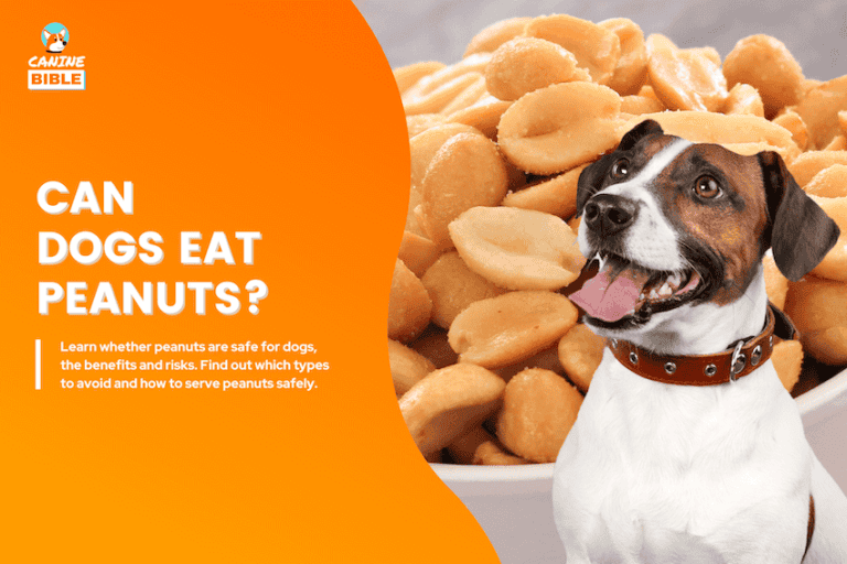 can dogs eat peanuts