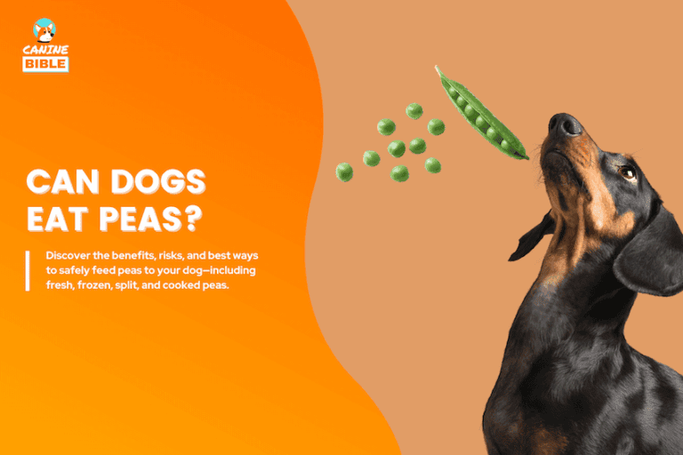 can dogs eat peas