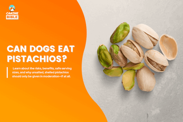 can dogs eat pistachios