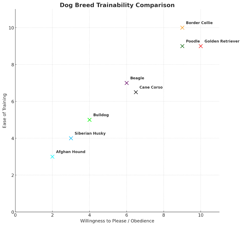 cane corso trainability