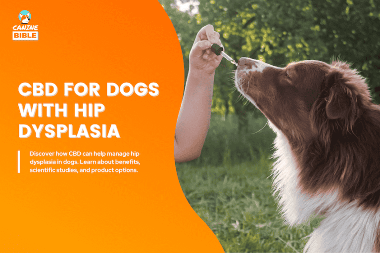 Best CBD Oil For Dogs With Hip Dysplasia 2025: Review & Guide