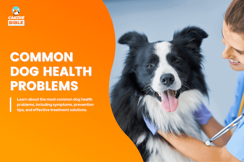 common dog health problems