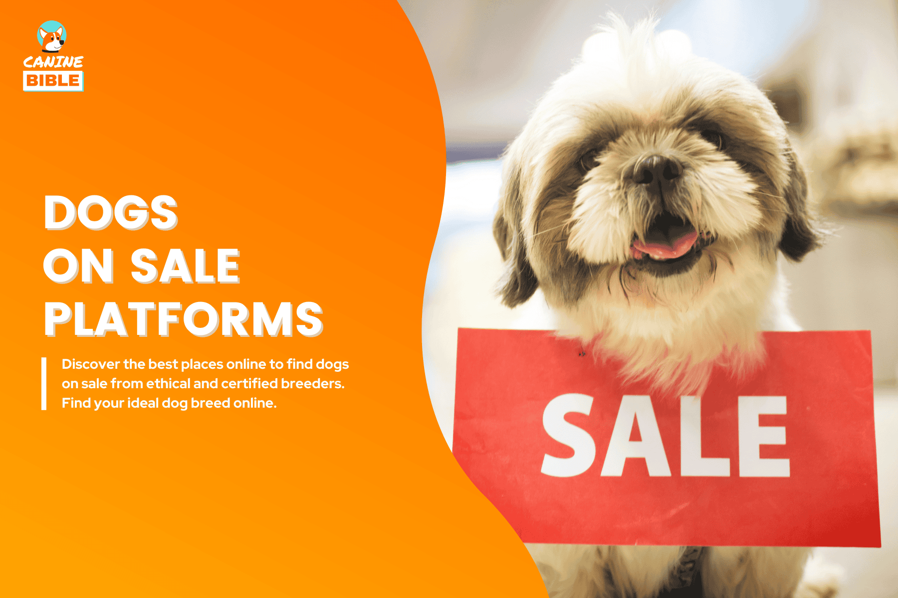dogs on sale
